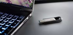 サンディスク Extreme GO USB 3.2 フラッシュドライブ SDCZ810-256G-J35